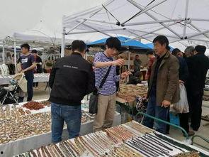 阿拉善展会爆料最新消息,前沿科技与绿色未来精彩纷呈